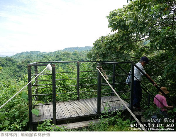 龍過脈森林步道-34.jpg