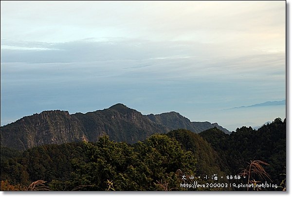 1010阿里山024.JPG