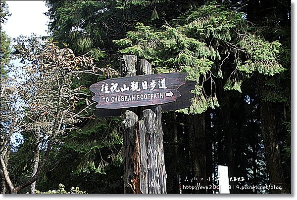 1010阿里山034.JPG