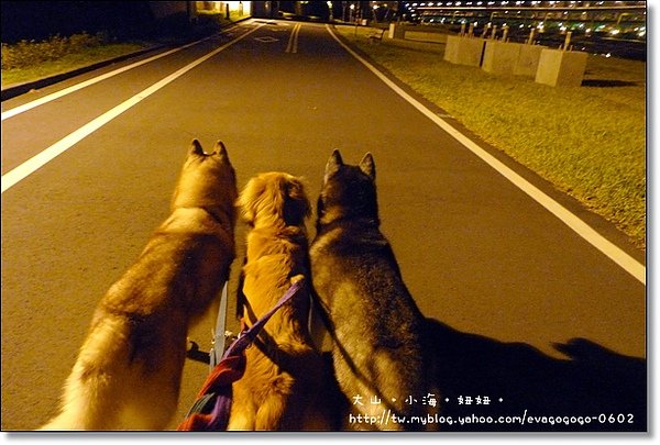 半夜的悠閒002.JPG