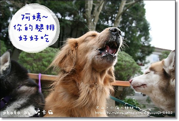 米飛生日趴in奧萬大-001.JPG