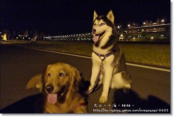 半夜的悠閒004.JPG