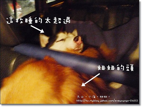 0820GGWW-1.JPG