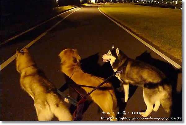 半夜的悠閒003.JPG