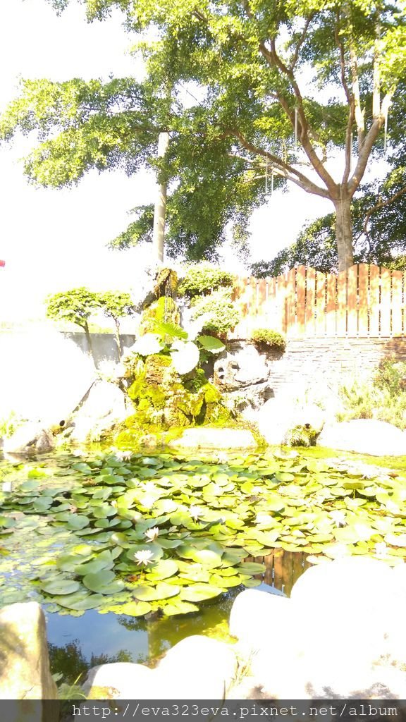 IMAG0803.jpg