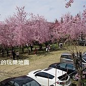 IMG_1209_副本.jpg