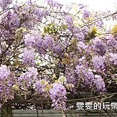 IMG_2168_副本.jpg