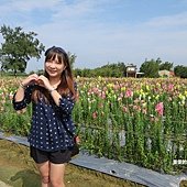 IMG_0404_副本.jpg