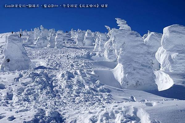 東北&amp;關東｜艷陽天•藍白對比•冬季限定《蔵王樹氷》絕景