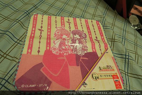 CCS_1119.jpg