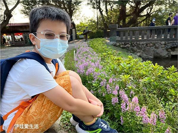 台北陽明山》從第一停車場 前往 前山公園》沿途風景老少咸宜半