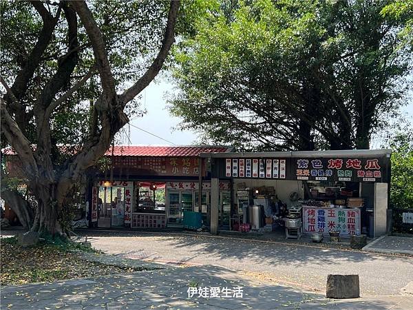 台北陽明山》從第一停車場 前往 前山公園》沿途風景老少咸宜半