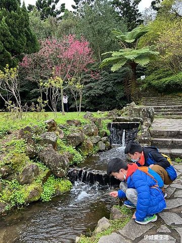 台北陽明山》從第一停車場 前往 前山公園》沿途風景老少咸宜半