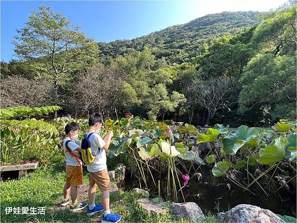 台北陽明山》從第一停車場 前往 前山公園》沿途風景老少咸宜半