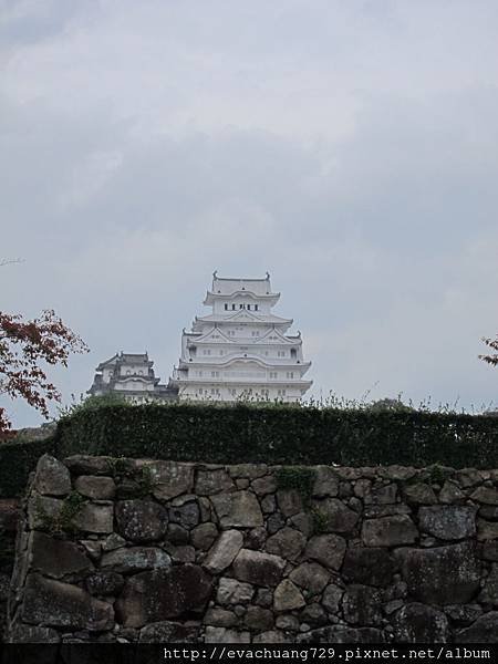 IMG_0100