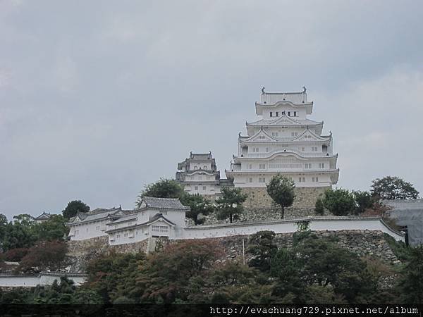 IMG_0110.JPG