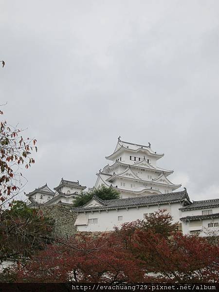 IMG_0120.JPG