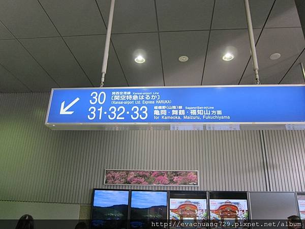 IMG_0003.JPG