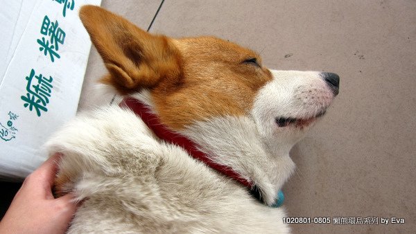 IMG_8516.JPG