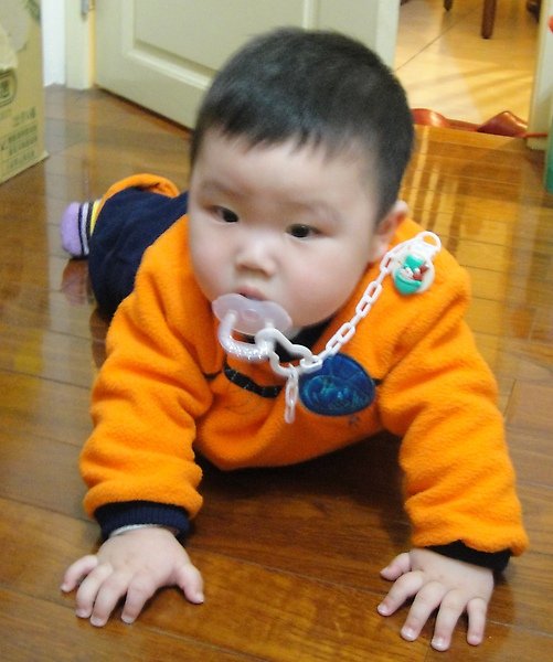 DSC012100.jpg