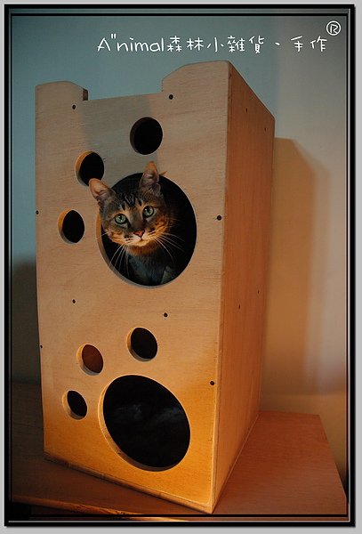 DSC_9601_調整大小-L.jpg
