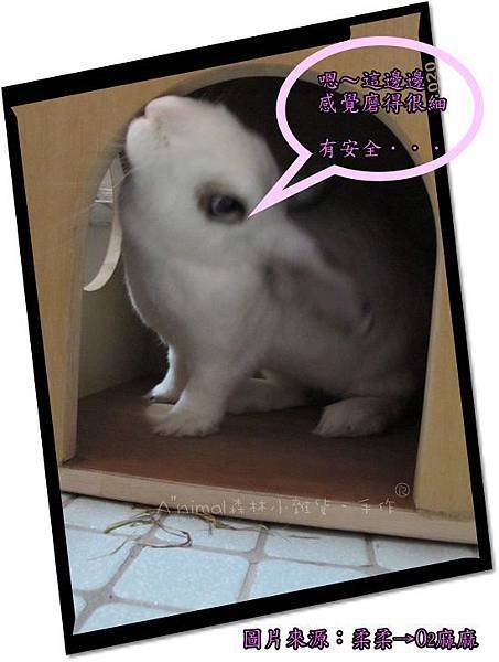 O2-2-網誌.jpg