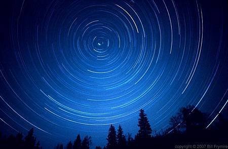 star_trail_tree_silhouette_night_sky1