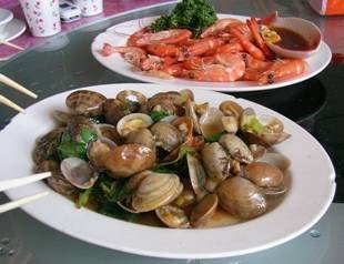 0805II-19.jpg