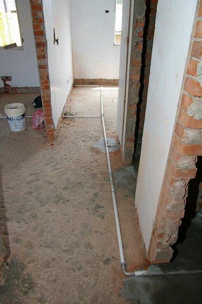 IMGP8107.JPG