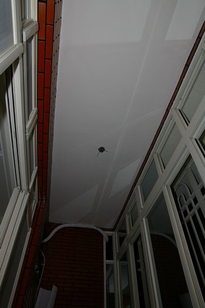 IMGP9478.JPG