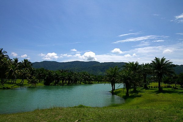 IMGP1029.JPG