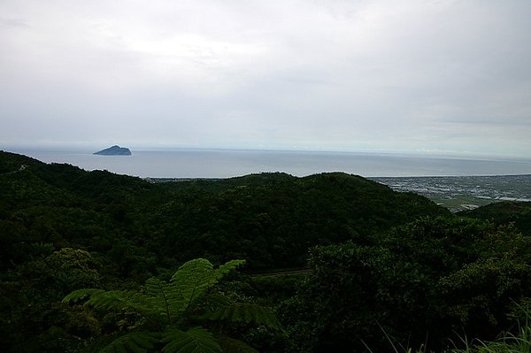 IMGP0593.JPG