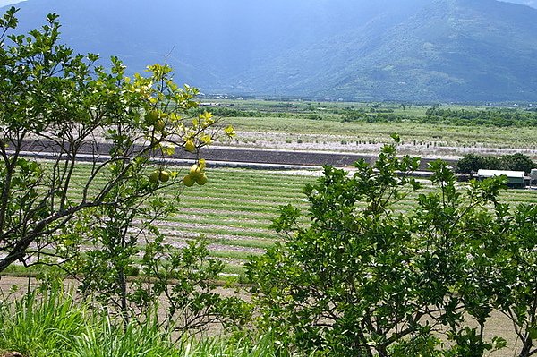 IMGP1069.JPG