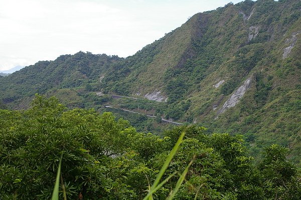 IMGP1245.JPG