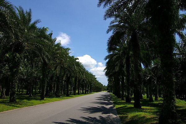 IMGP1027.JPG