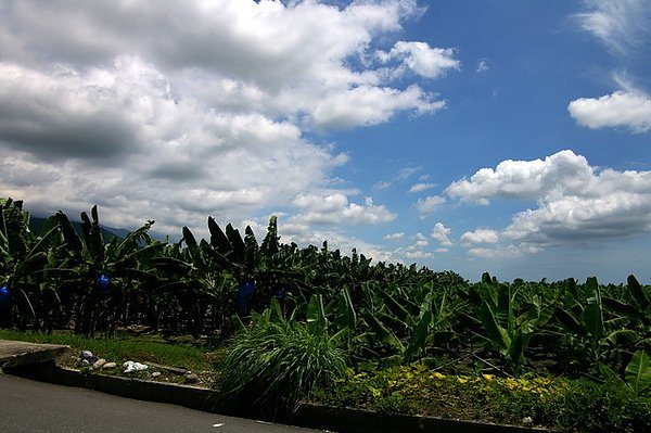 IMGP1019.JPG