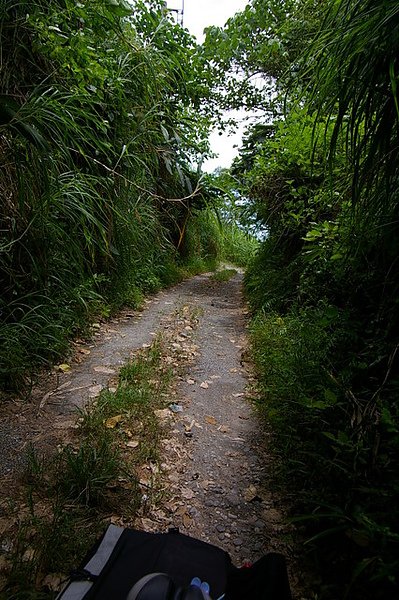IMGP1331.JPG