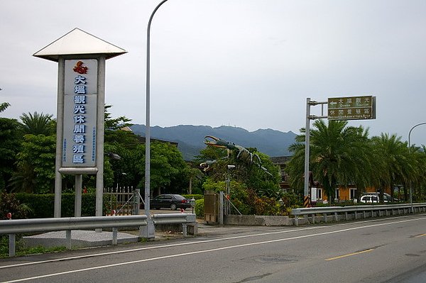 IMGP0617.JPG