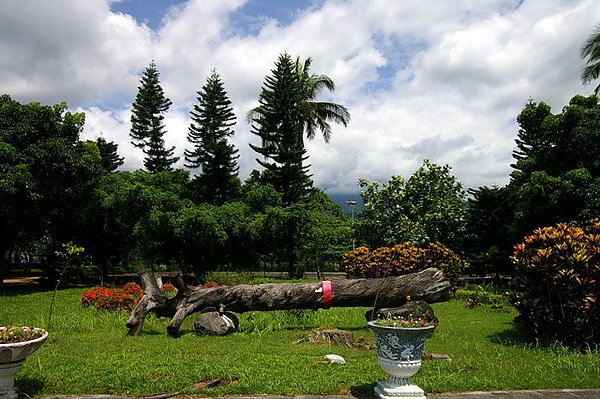 IMGP1011.JPG