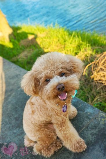 blog-12