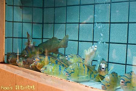 20140331龍都45.jpg