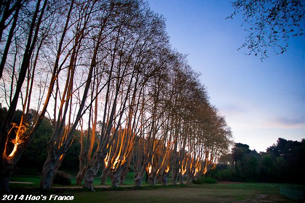 20140411普羅旺斯莊園75