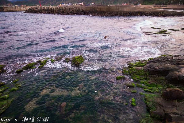 20150103潮境公園9.jpg