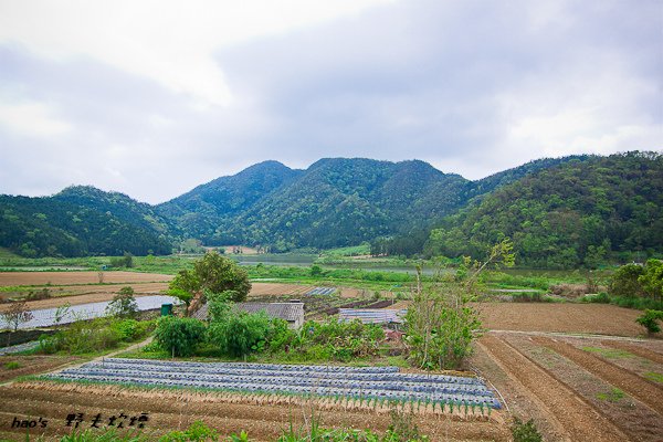 201604野夫炊煙012.jpg