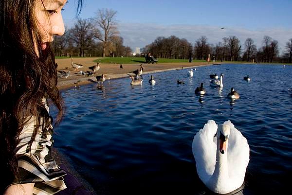 ♥ Days in London - Hyde Park ♥ 海德公園一帶 + Kensington Palace ♥