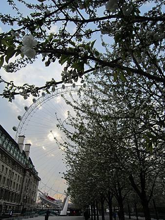 IMG_0305.JPG