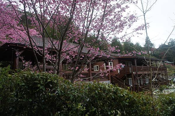 DSC07815