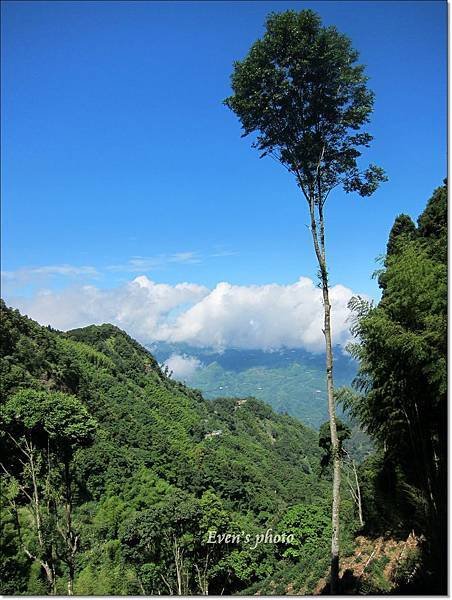 慢遊才能發現沿途美景