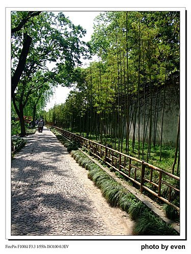 蘇州拙政園3
