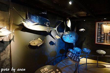花蓮3日遊482-20141112.JPG